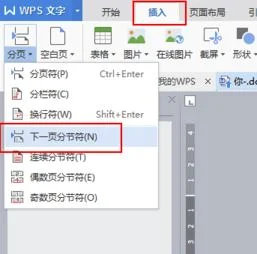 wps中如何编辑11页码 | wps怎么设置页码格式为1