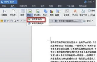 wps中如何设置文字环绕型 | wps文
