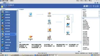 普及财务知识金蝶标准版 | 金蝶KIS