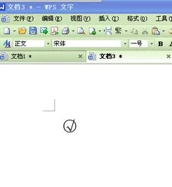 wps如何在圆圈里面一个勾