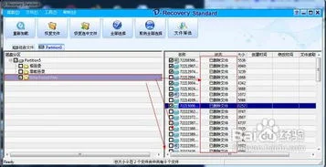 金蝶数据丢失无法报税怎么办