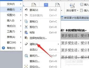 wps如何删除关键字 | WPS删除指定关键词的行请问如何操作?