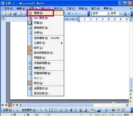 wps文字如何一次删除行高 | wps表