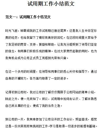 在金蝶工作试用期报告 | 试用期自