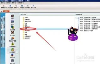 在金蝶系统代付款如何操作 | 金蝶