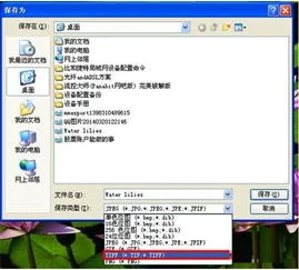 如何用wps将jpg转换为word文档