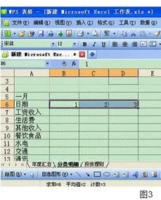 手机wps如何制作记账表格 | 用wps
