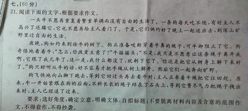 金蝶兰特点作文800字 | 写金边兰作