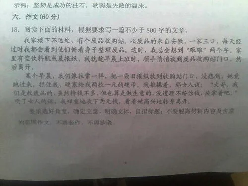 金蝶兰特点作文800字