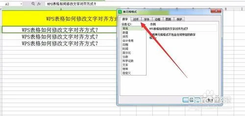 wps表格中文字如何断行