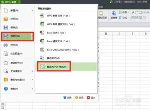 转换成,完整,wps,excel