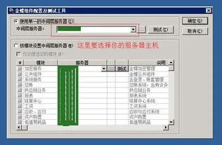 分机释放金蝶站点数
