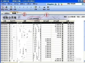 金蝶怎么查找科目明细账 | 金蝶kis标准版如何查询上一年度的明细账