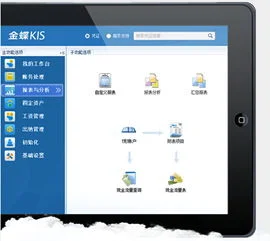 专业版,金蝶,备份,系统