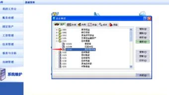 报表,金蝶,迷你版,调整