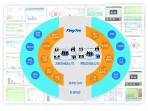 金蝶高校计划