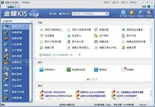 专业版,金蝶,模板,kis