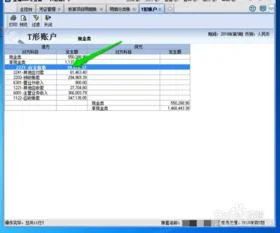 批量,金蝶,现金流量表,指定