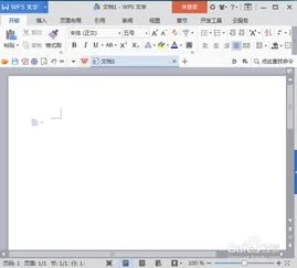 wps里如何画线