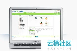 金蝶的进销存软件好用 | 有人用过金蝶的进销存软件吗