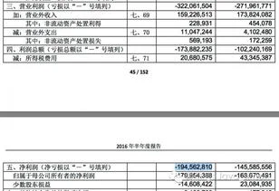 南用友北金蝶中神码