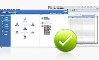 金蝶kis财税王基础版v8.5