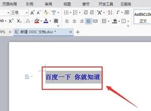 wps文档如何打田字框