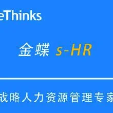 金蝶,k312,hr