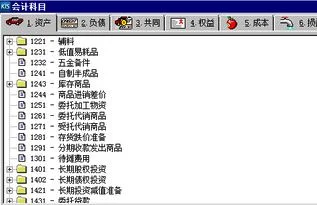 怎么看,余额,金蝶,期末