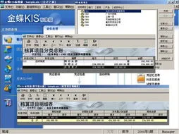 金蝶kis房地产项目核算