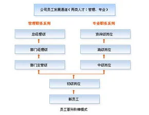 金蝶软件的发展前景 | 金蝶开发的软件好不好