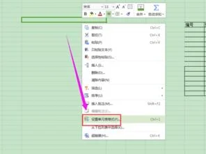 wps文字中如何设置单元格格式 | WP