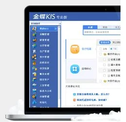 金蝶是标准版好还是专业版呢