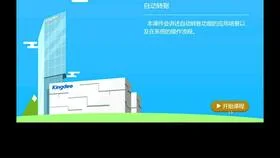 过长,金蝶,编制
