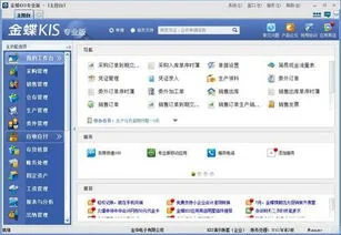 金蝶kis专业版医生