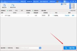 如何用wps把内容转换成word | WPS