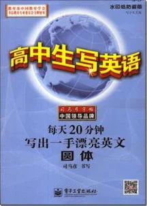 金蝶,盗版