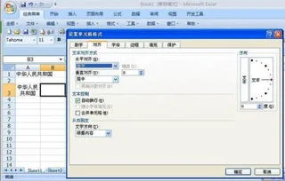 wps表格如何设置自动换行