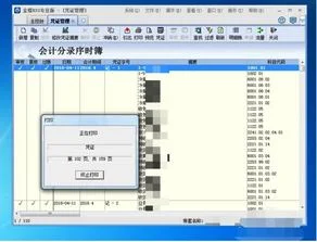 凭证,金蝶,打印,软件