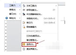 加水,WPS