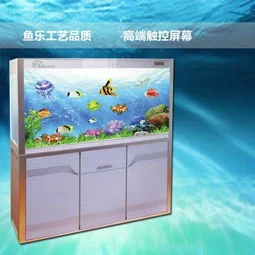 金蝶亚克力圆柱鱼缸 | 亚克力鱼缸有什么缺点啊?