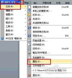 手机wps如何修改文件属性 | 如何更
