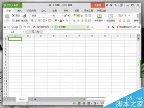 多个,调整,格式,工作