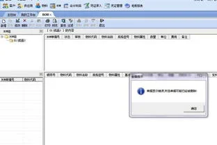 专业版,金蝶,建立,档案