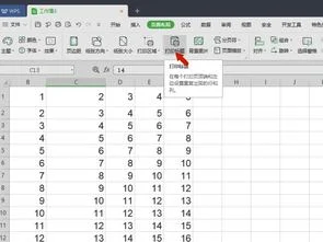 隔行,表格,标题,wps