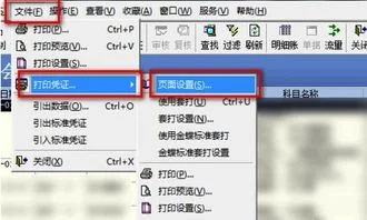 凭证,金蝶,加粗,打印