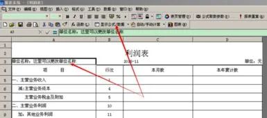 怎么在金蝶利润表中建新数据 | 在