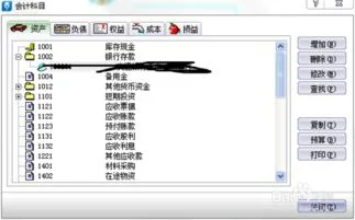 社会团体,金蝶,会计科目,kis