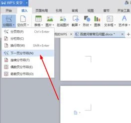 wps如何下一页是横版 | wps如何设