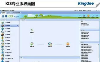 余额,金蝶,期初,修改